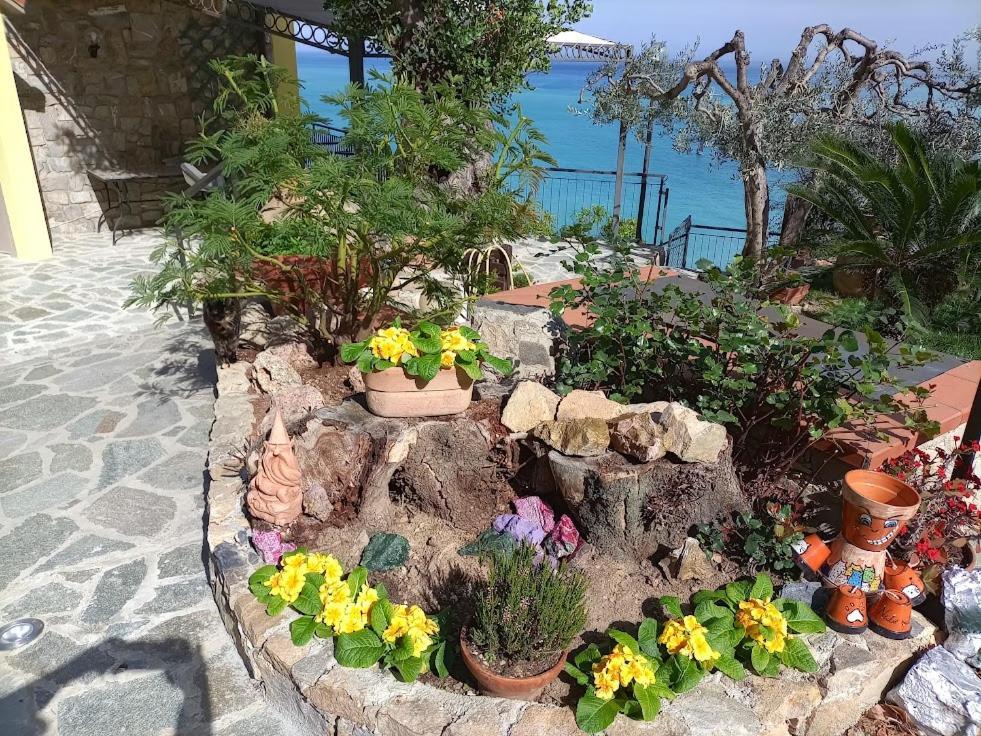 B&B Nido Sul Mare Αλάσιο Εξωτερικό φωτογραφία